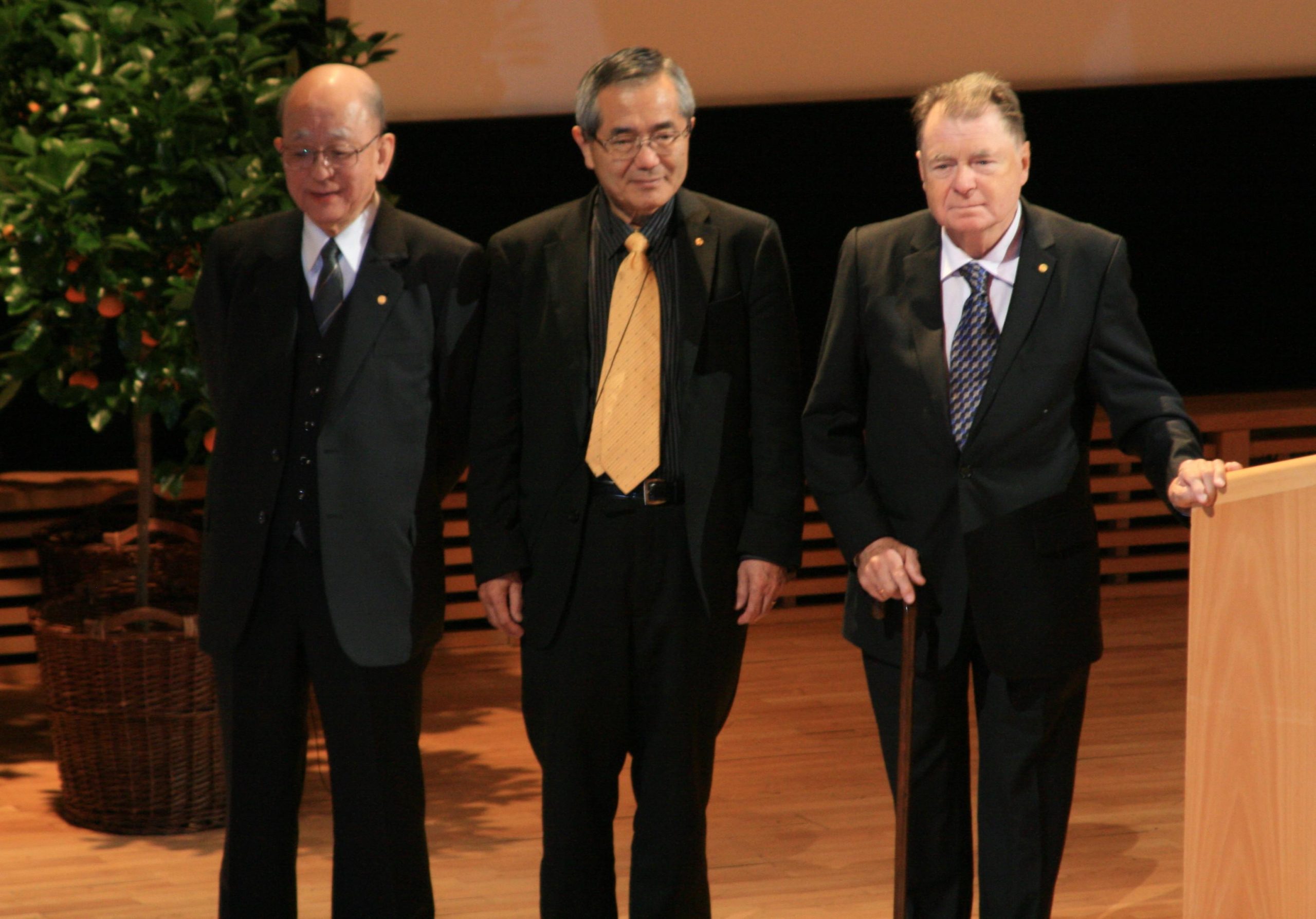 File:Nobel Laureates for Chemistry 2010.jpg - three men standing on stage